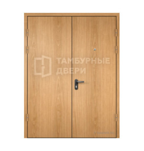 Дверь в тамбур глухая в коридор винорит — скелет ТД-288